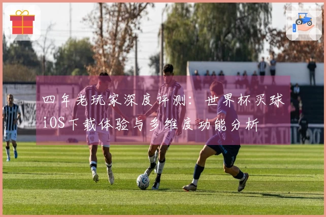 四年老玩家深度评测：世界杯买球iOS下载体验与多维度功能分析