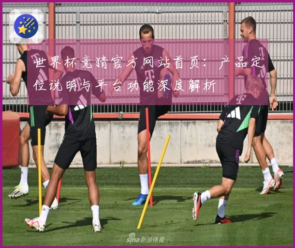 世界杯竞猜官方网站首页：产品定位说明与平台功能深度解析