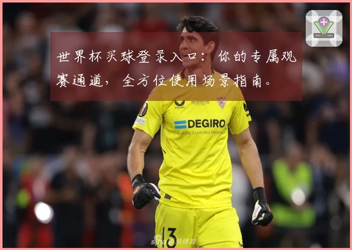 世界杯买球登录入口：你的专属观赛通道，全方位使用场景指南。