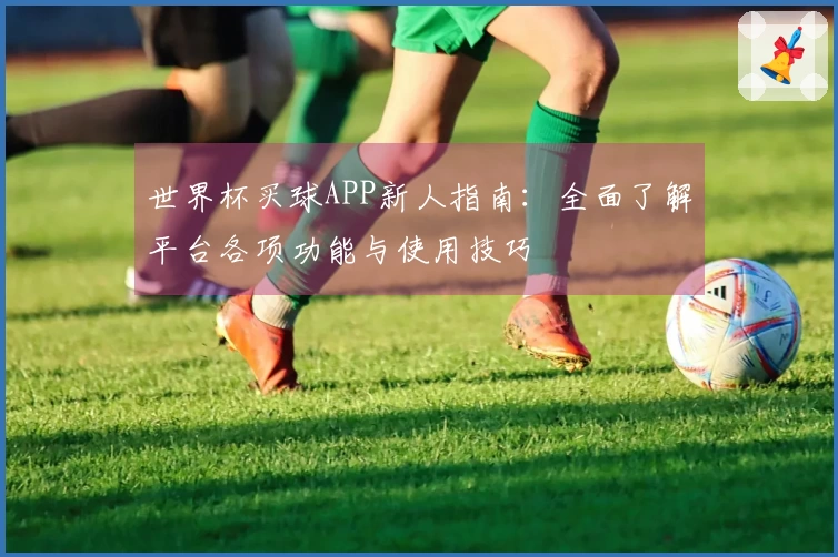 世界杯买球APP新人指南：全面了解平台各项功能与使用技巧