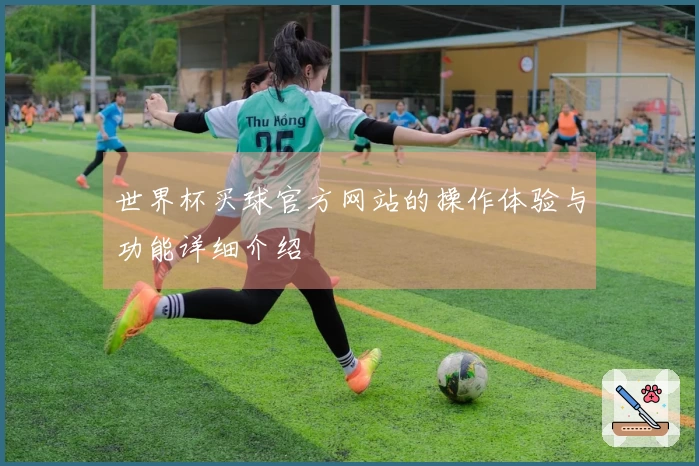 世界杯买球官方网站的操作体验与功能详细介绍