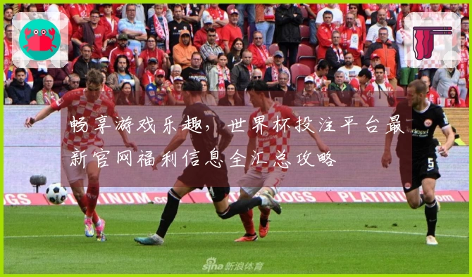 畅享游戏乐趣,世界杯投注平台最新官网福利信息全汇总攻略