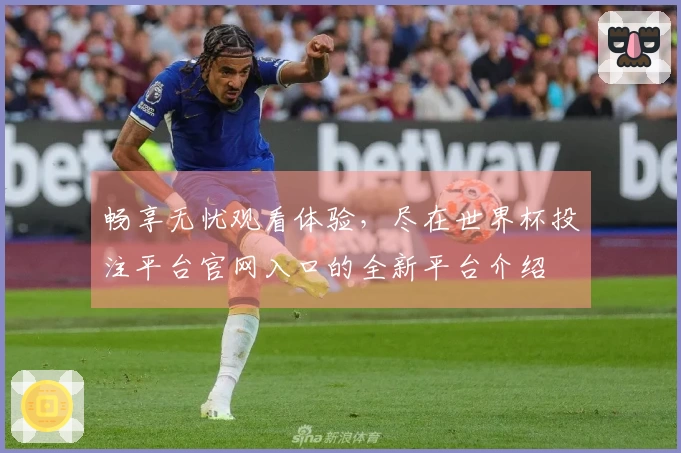 畅享无忧观看体验，尽在世界杯投注平台官网入口的全新平台介绍