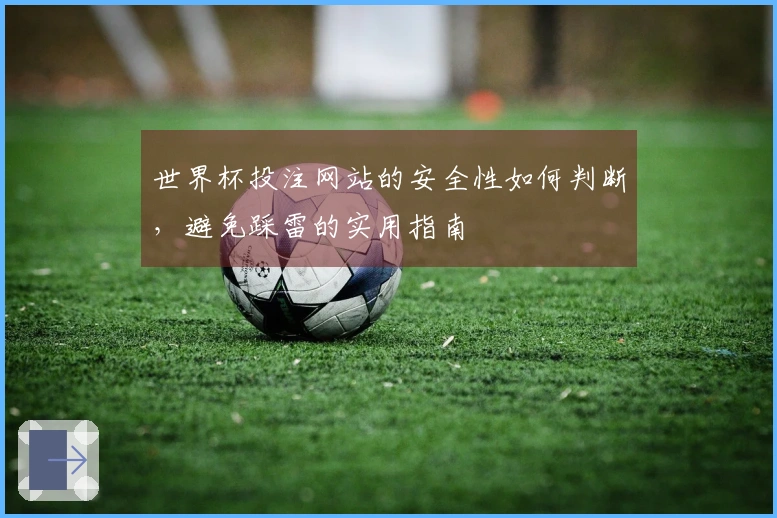 世界杯投注网站的安全性如何判断，避免踩雷的实用指南