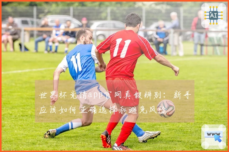 世界杯竞猜app官网真假辨别：新手应该如何正确选择和避免风险